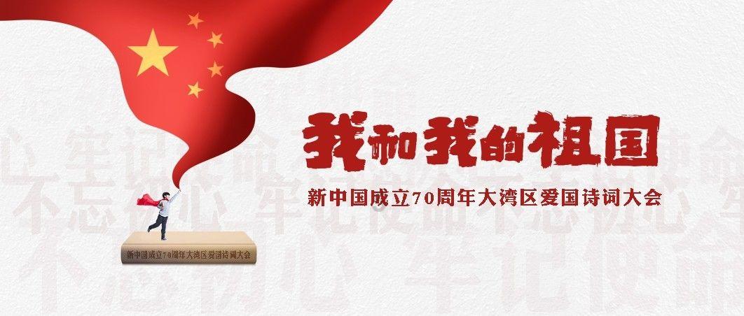 宁夏吴忠：赤麻鸭盘旋嬉戏，冬日黄河添灵动